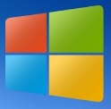 Windows 11 icon