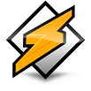 Winamp icon